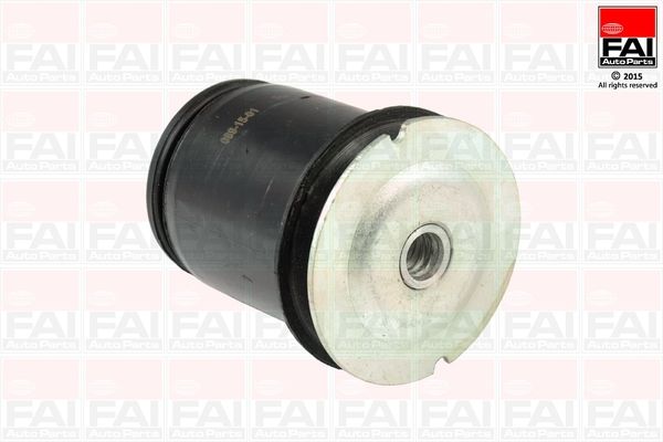 FAI AUTOPARTS Akselinripustus SS8041